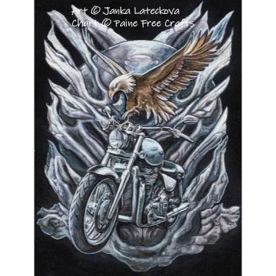 Motorbike and eagle